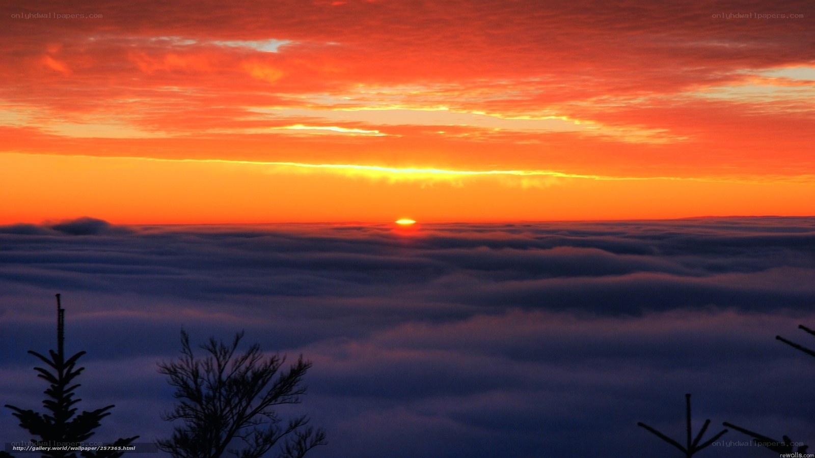Sunrise above the clouds