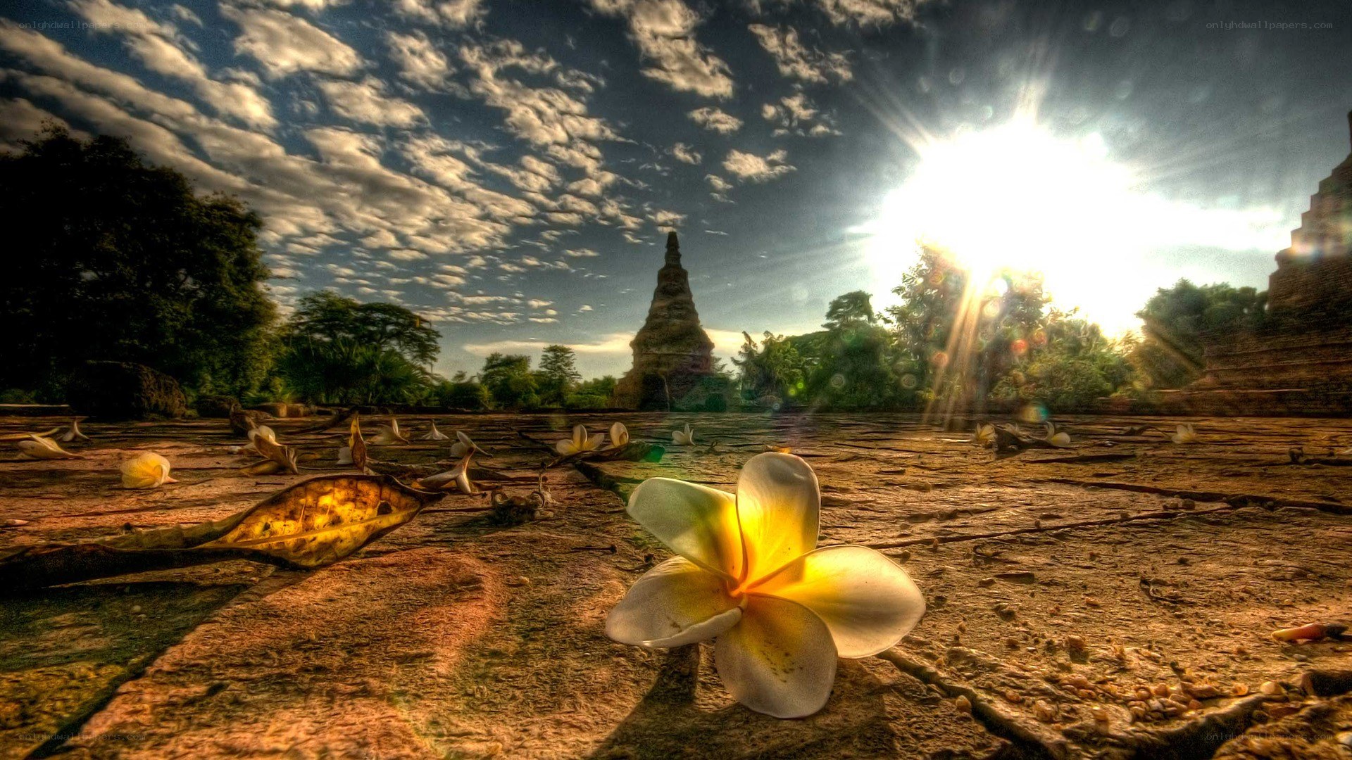 Sunrise at ancient temple ruins