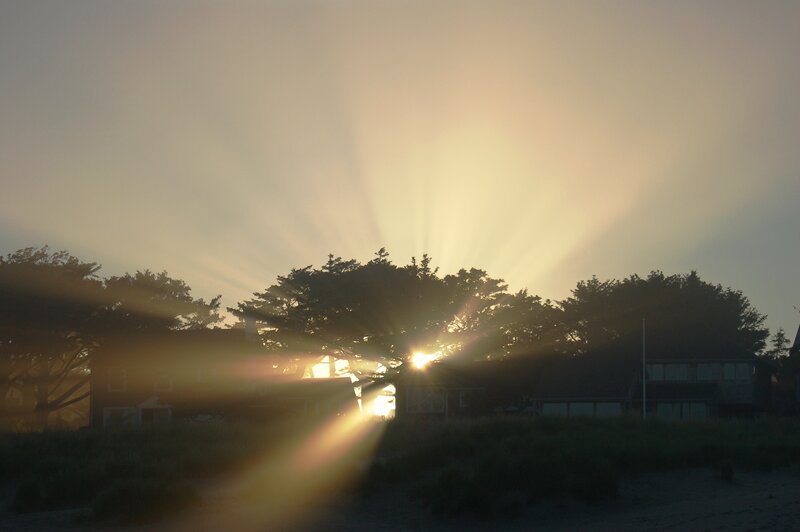 Sunrise Behind Trees