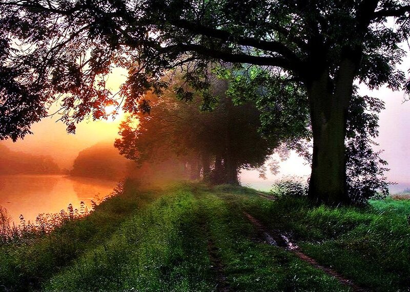 Sunrise by the river path