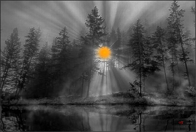 Sunrise in Forest — Black