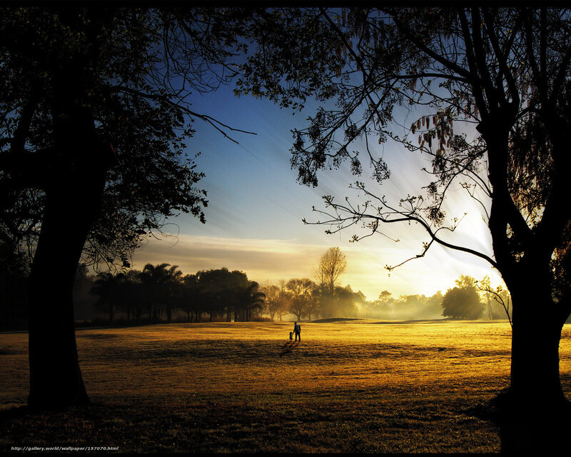 Sunrise in the park