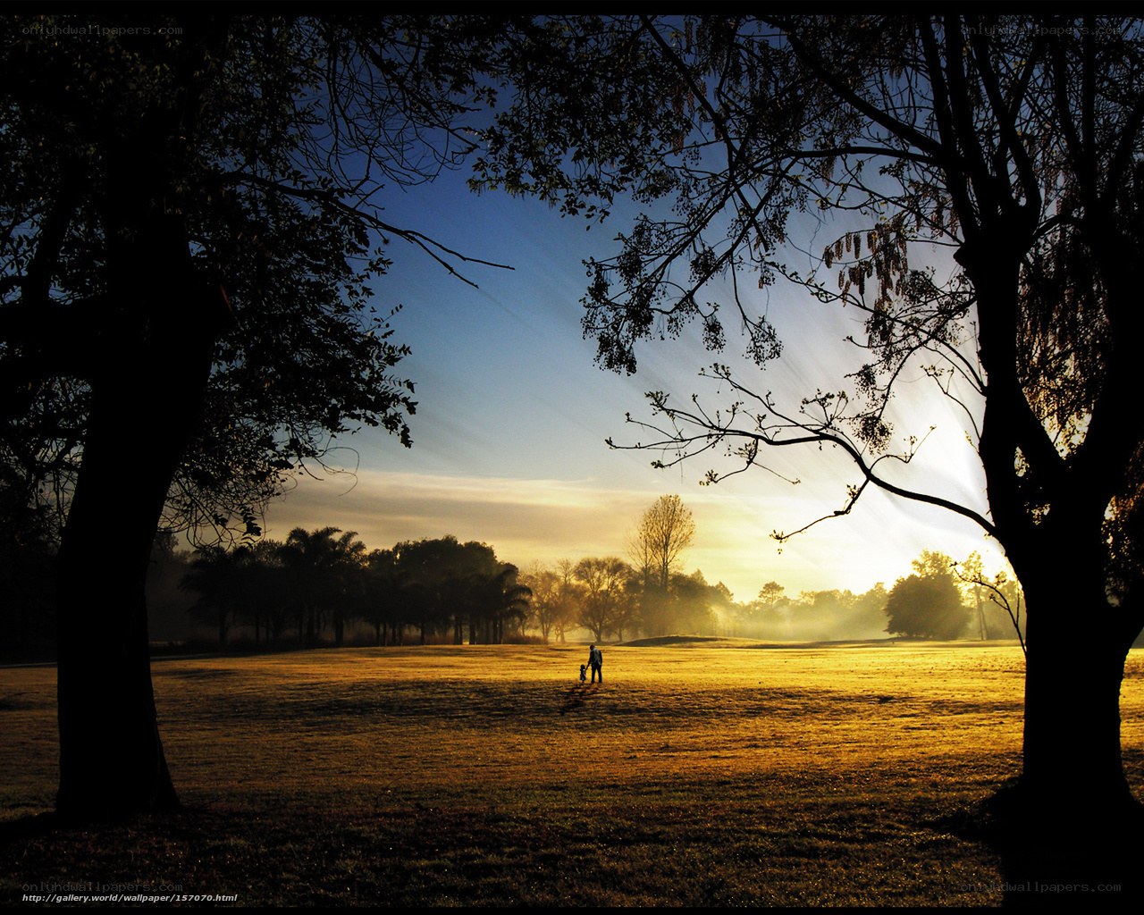 Sunrise in the park