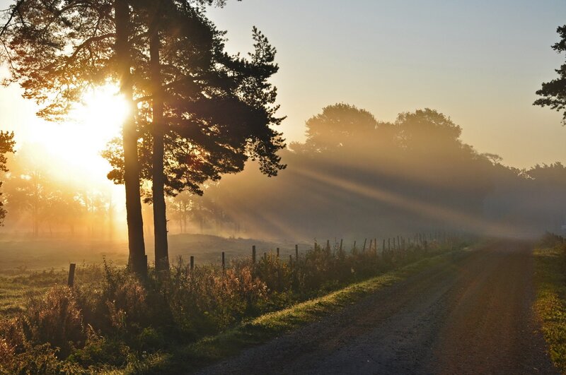 Sunrise on a misty country road