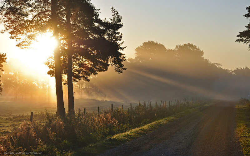 Sunrise on a misty country road