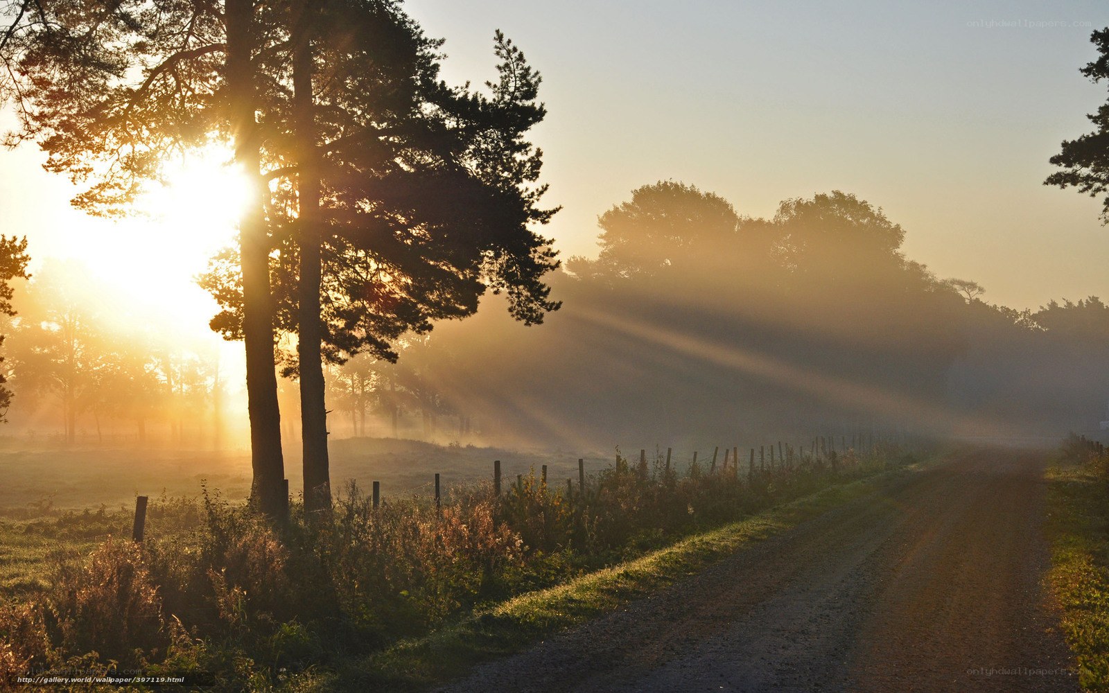 Sunrise on a misty country road