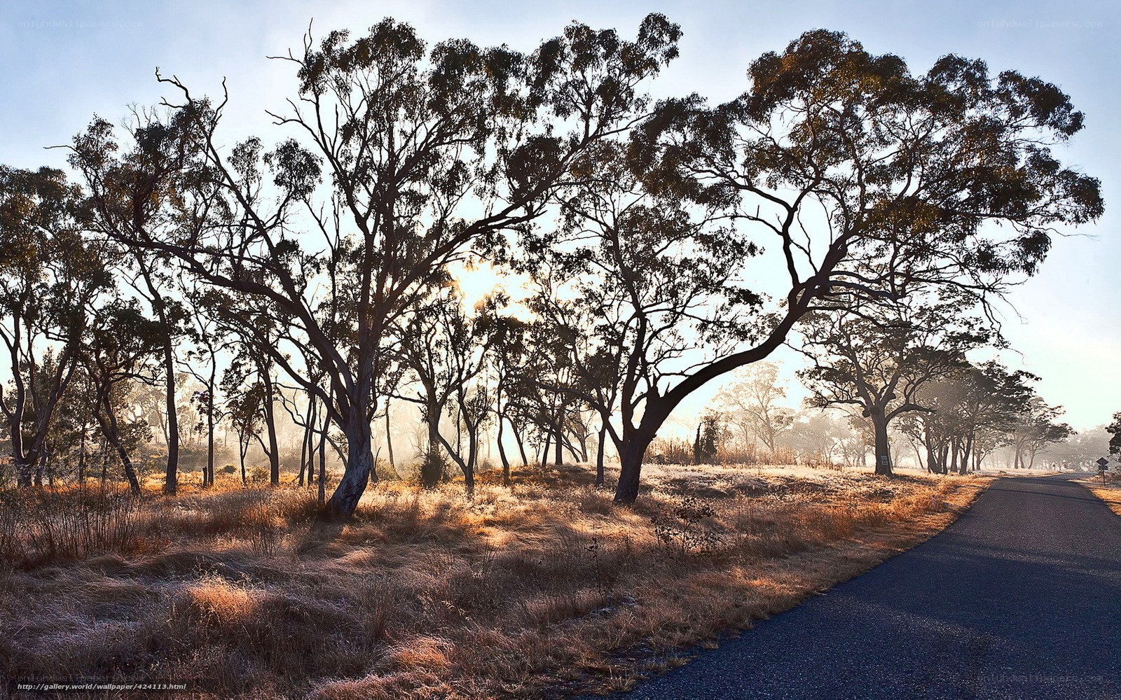 Sunrise on a quiet road