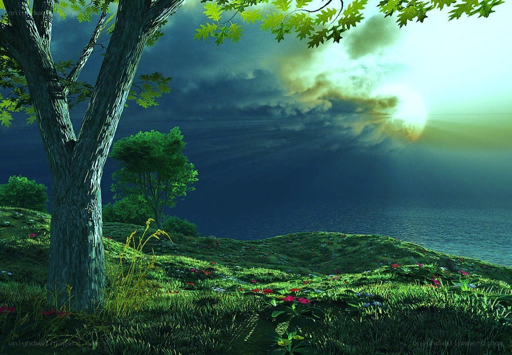 Sunrise over a coastal hill