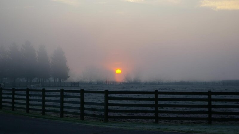 Sunrise over a Field — Gray