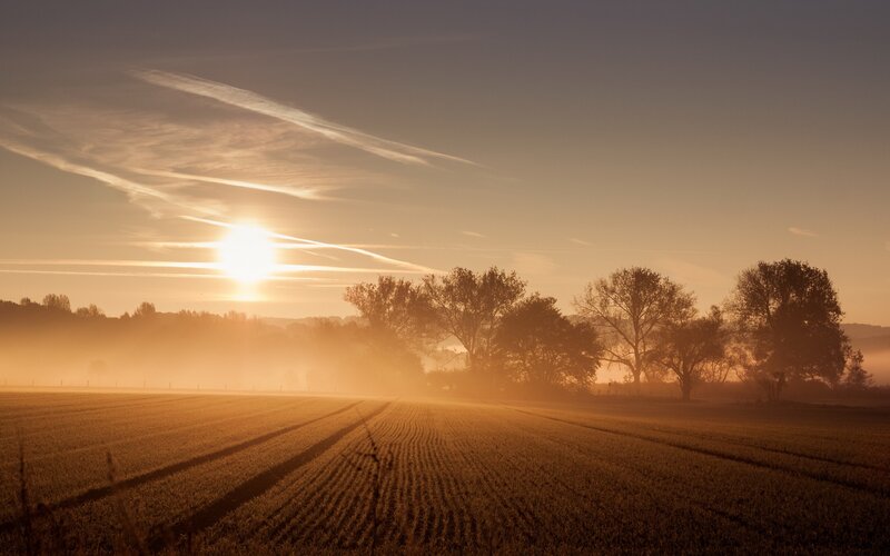 Sunrise over a Field — Orange, Serene, Morning