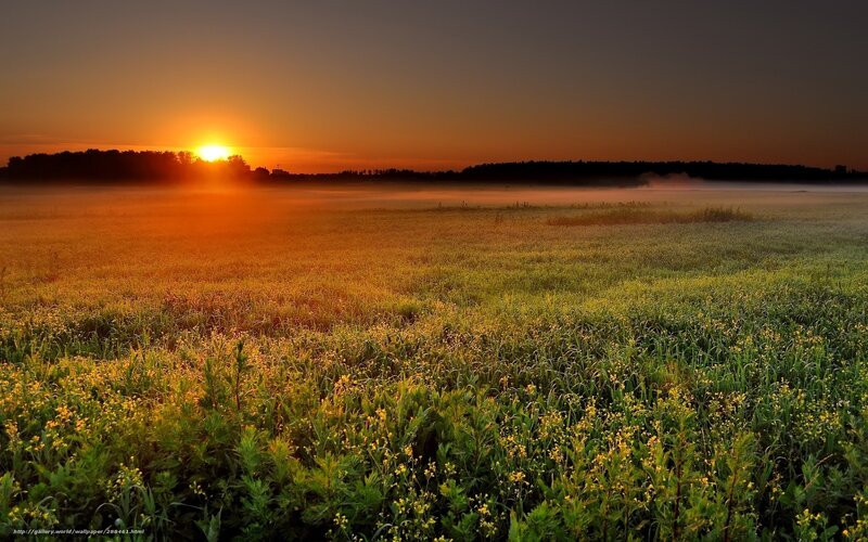Sunrise over a Field — Orange, Serene