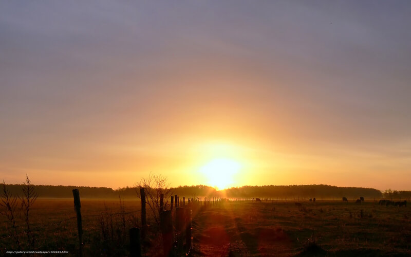 Sunrise over a Field — Orange