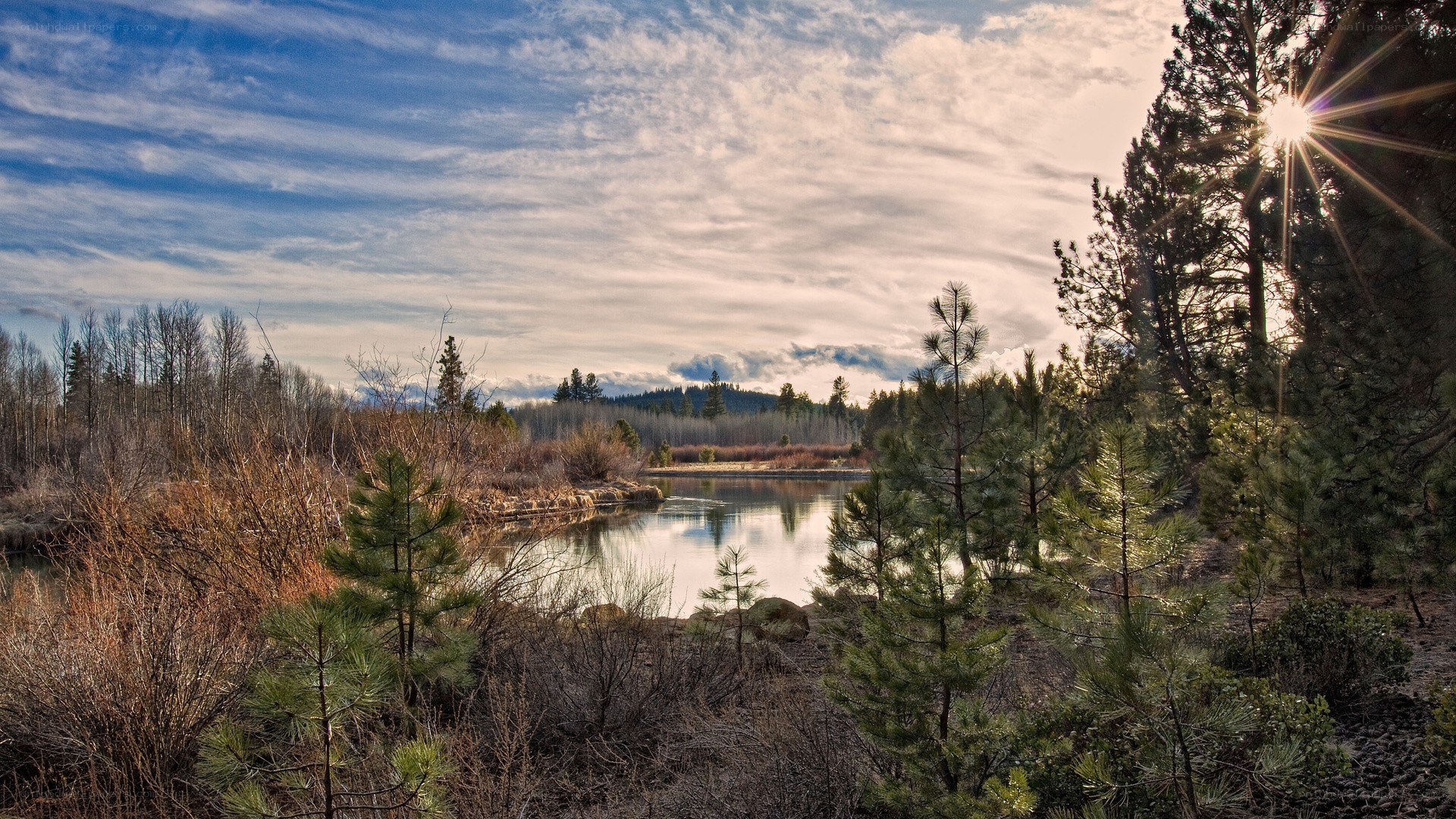 Sunrise over a forest lake