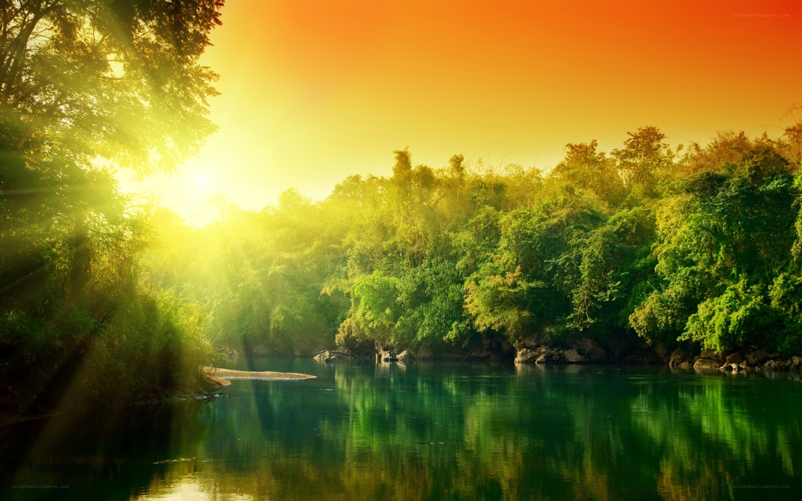 Sunrise over a forest river