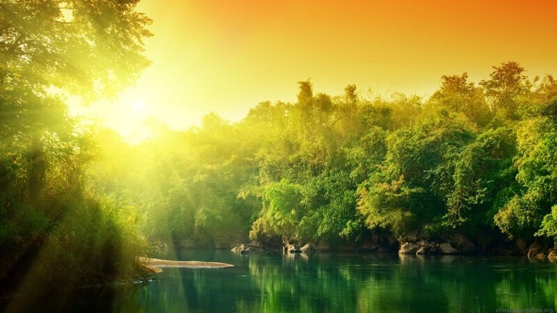 Sunrise over a forest river