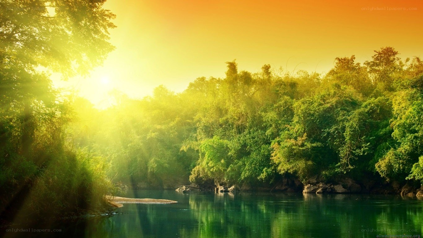 Sunrise over a forest river