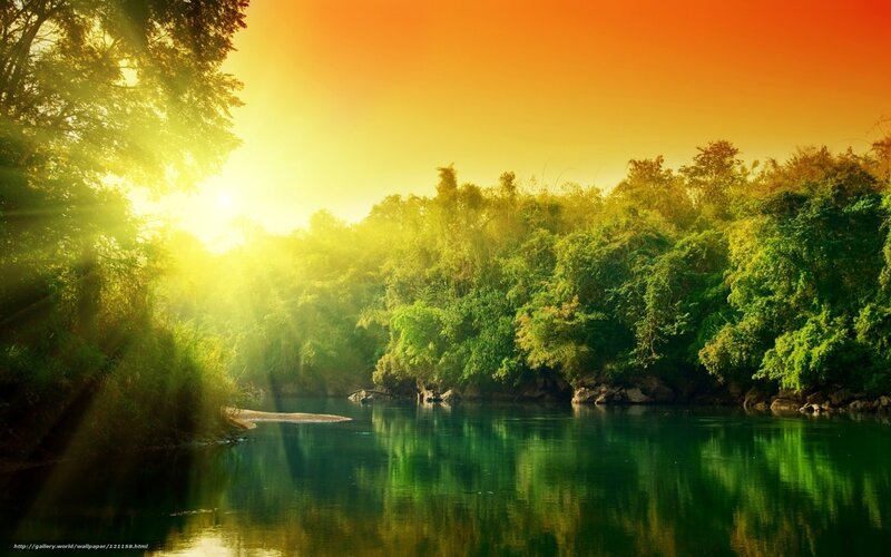 Sunrise over a forest river