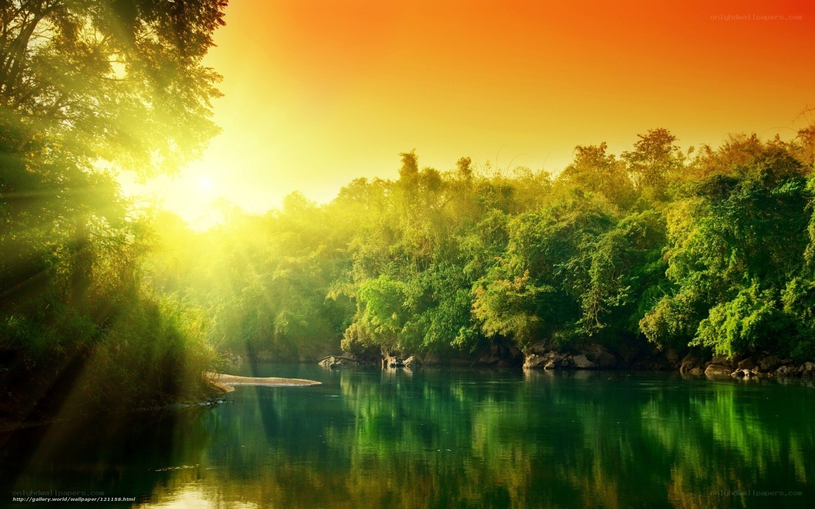 Sunrise over a forest river