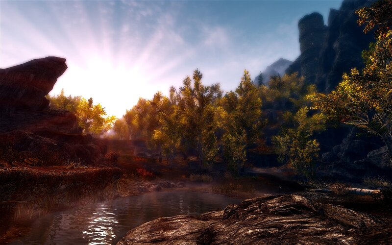 Sunrise over a forest stream