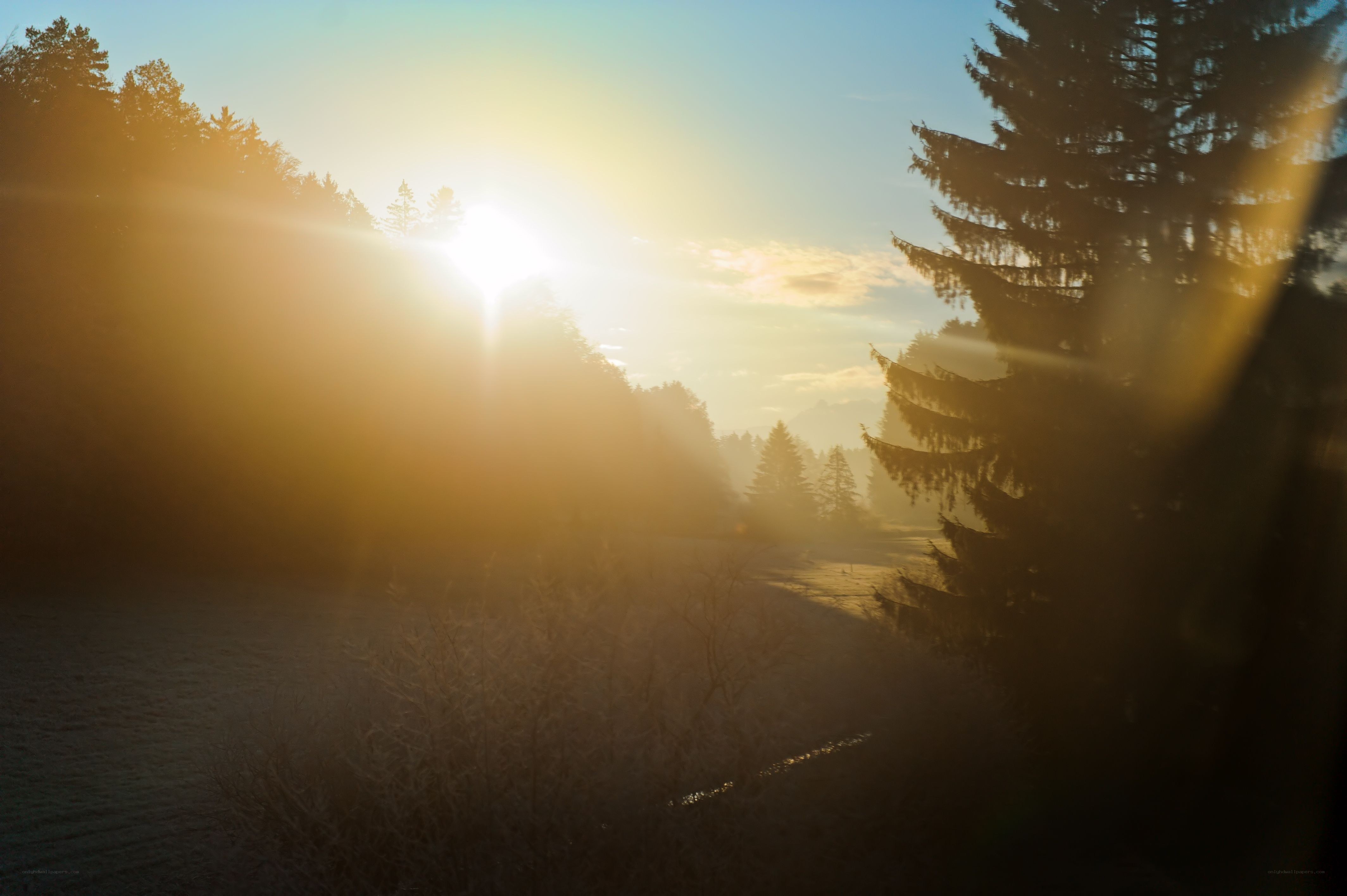 Sunrise over a forested valley