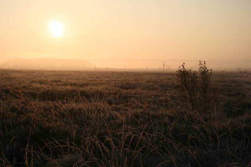 Sunrise over a frosty field
