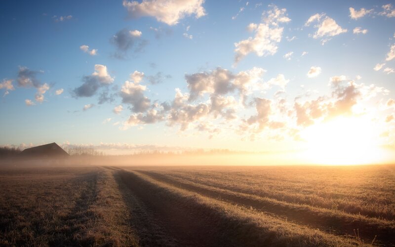 Sunrise over a frosty field