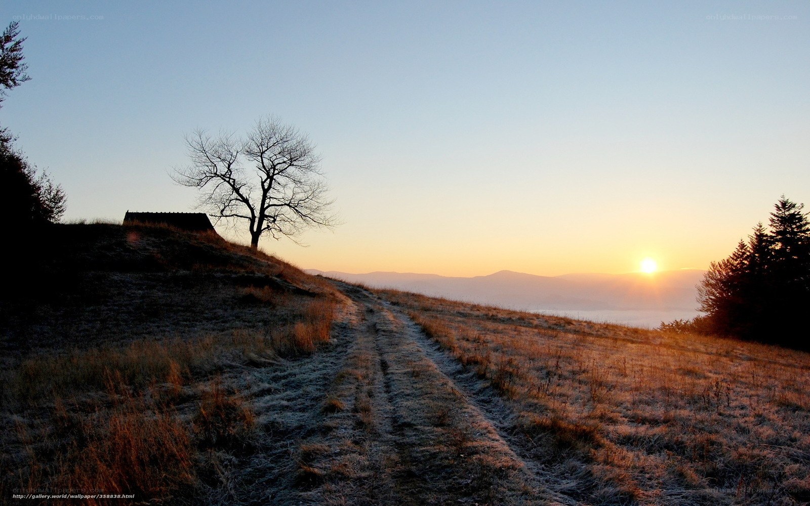 Sunrise over a frosty hill path