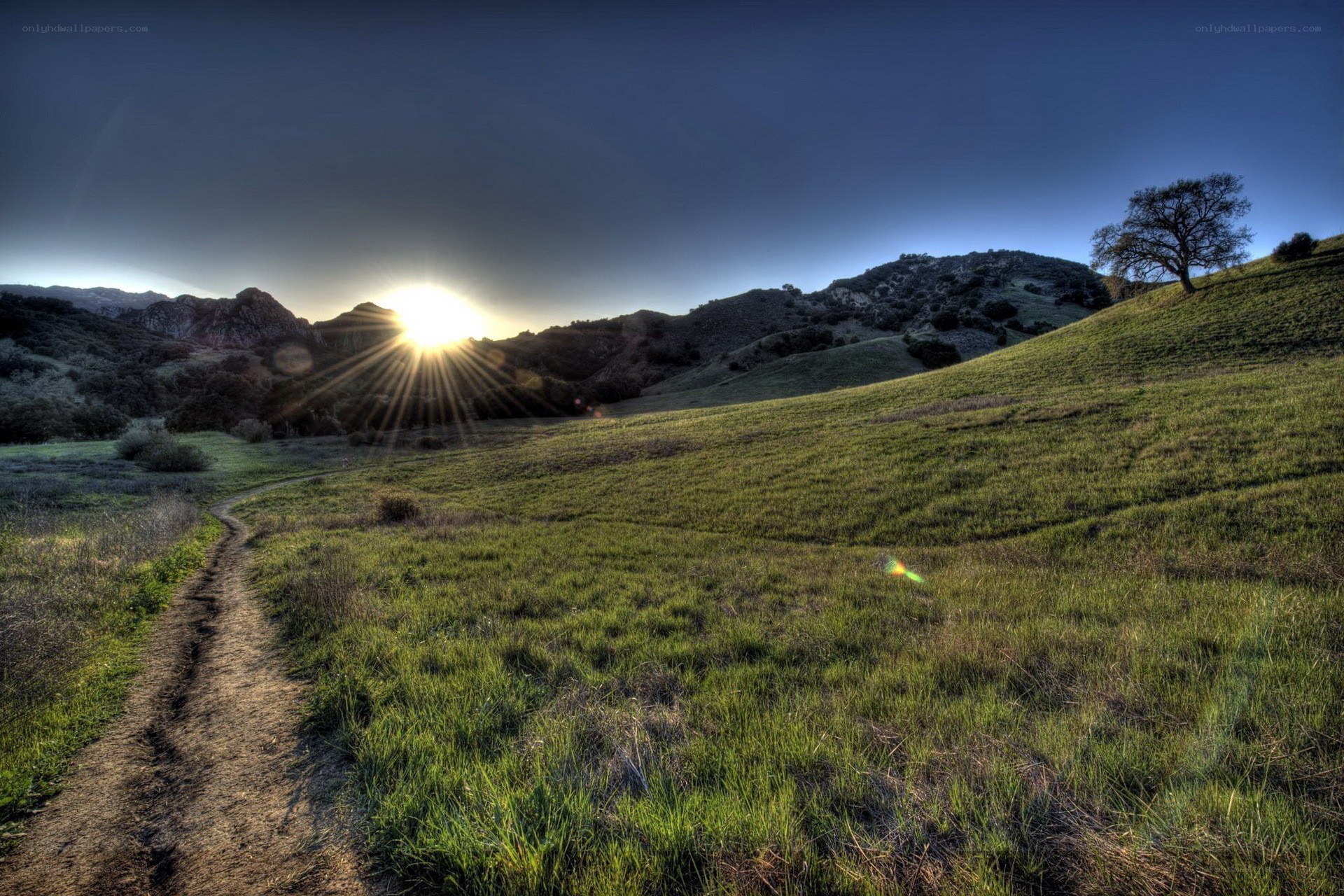 Sunrise over a grassy hillside
