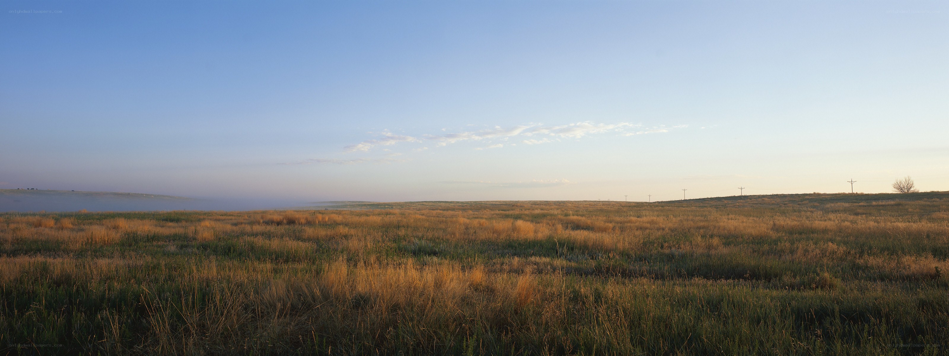 Sunrise over a grassy plain