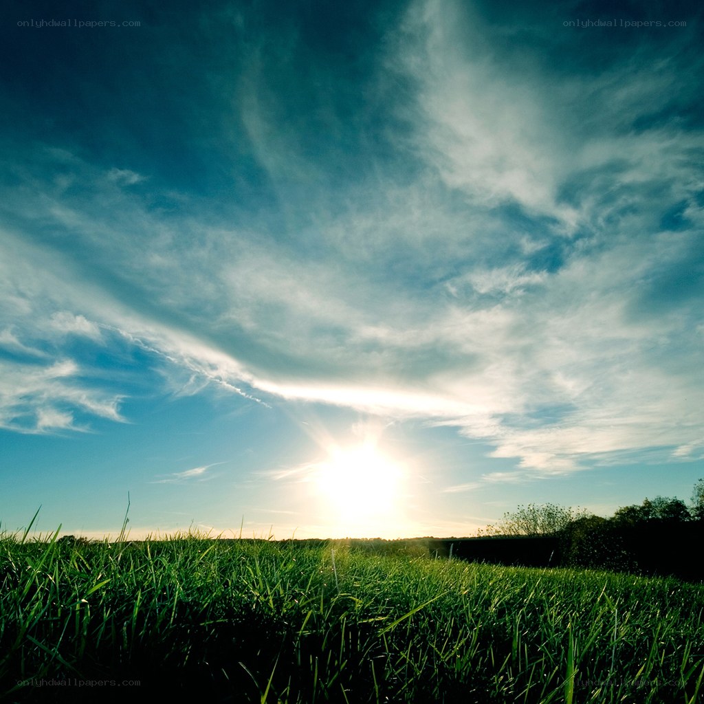 Sunrise over a green field