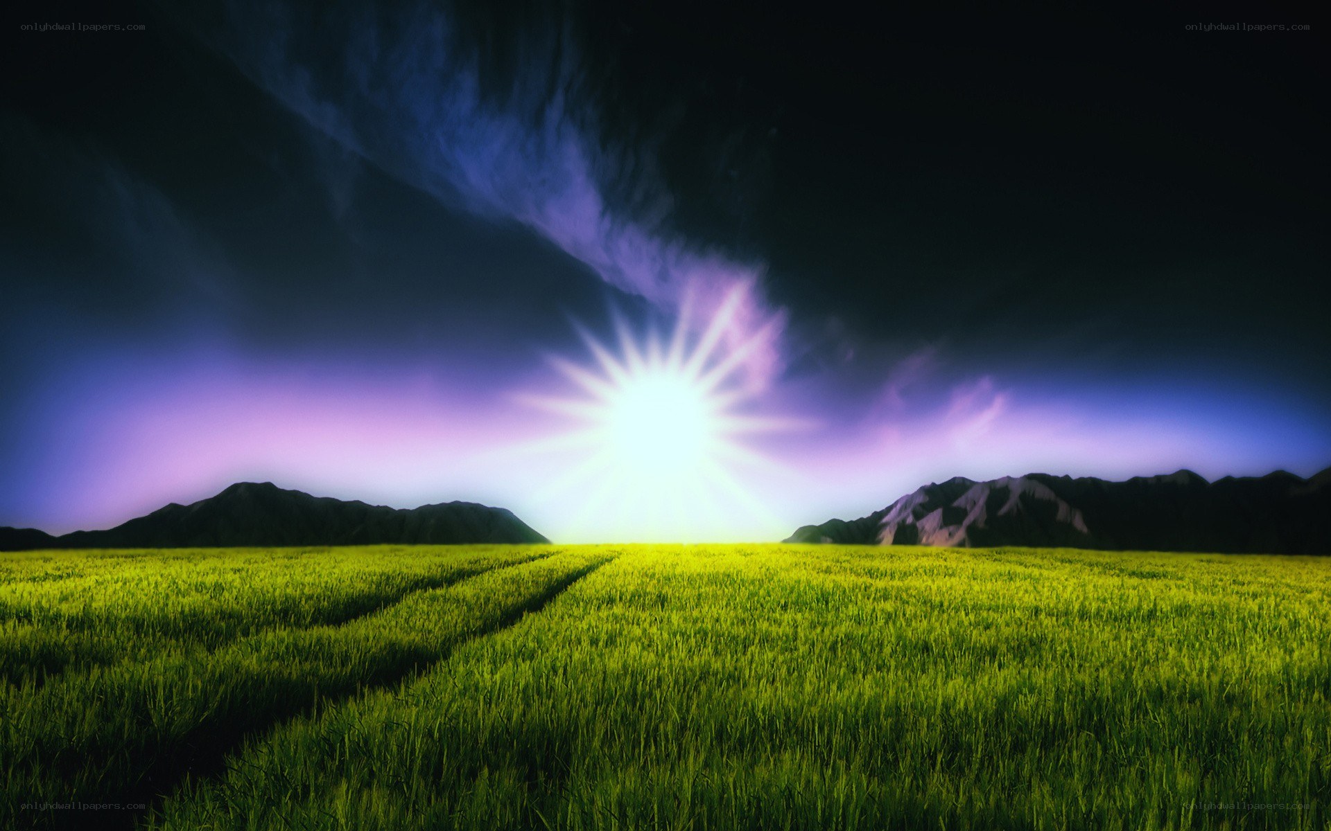 Sunrise over a green field