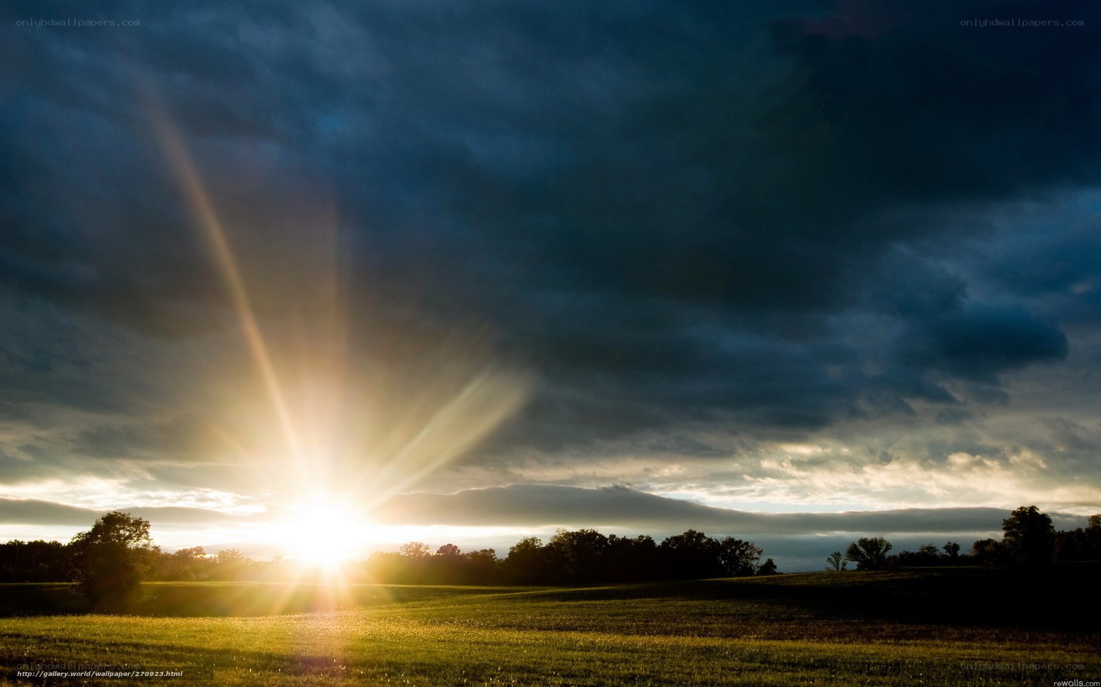 Sunrise over a green field