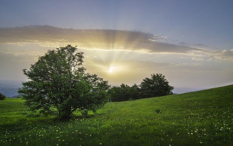 Sunrise over a green hill