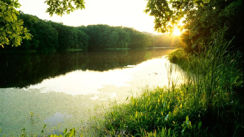 Sunrise over a Lake — Green