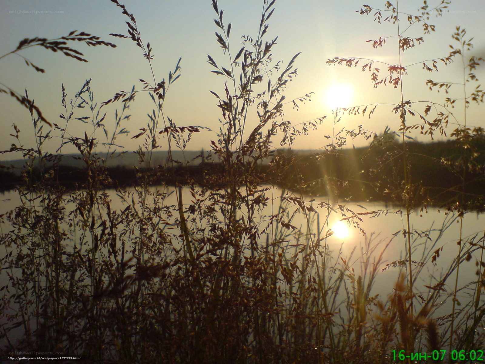 Sunrise over a lake with tall grass