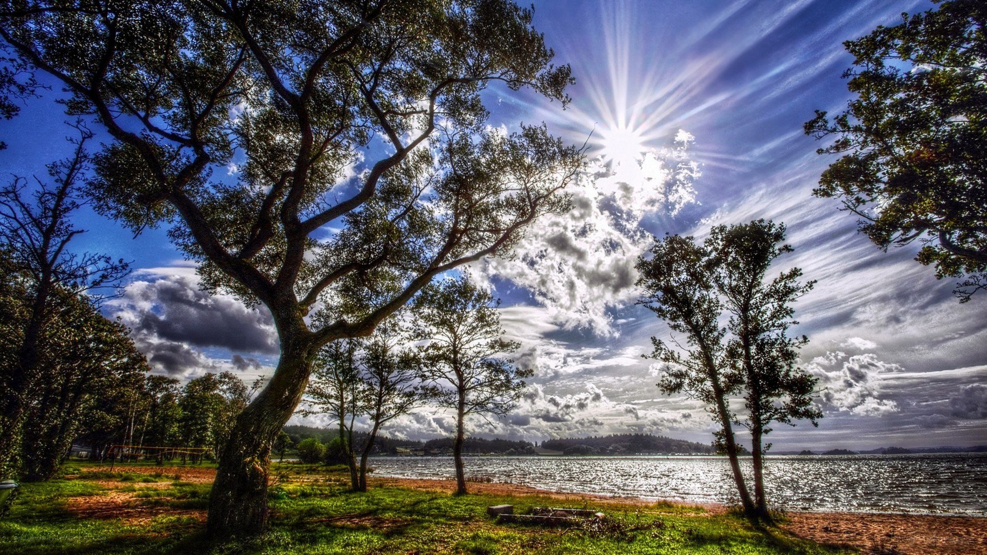 Sunrise over a lakeside park