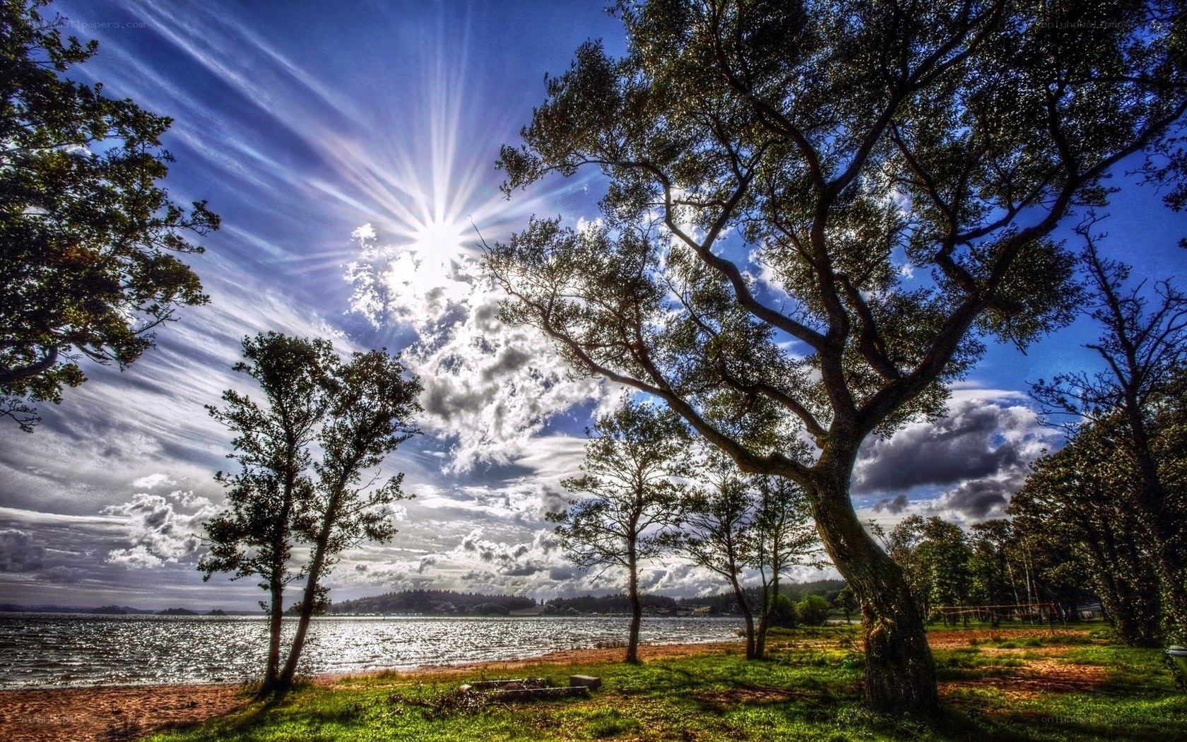 Sunrise over a lakeside park