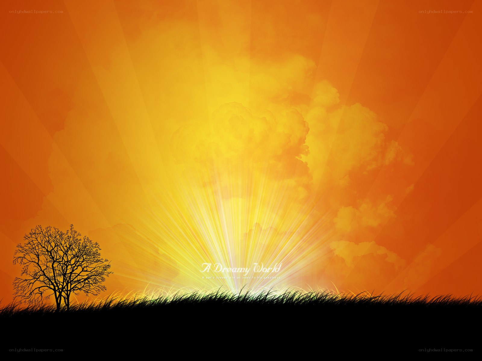 Sunrise over a lone tree