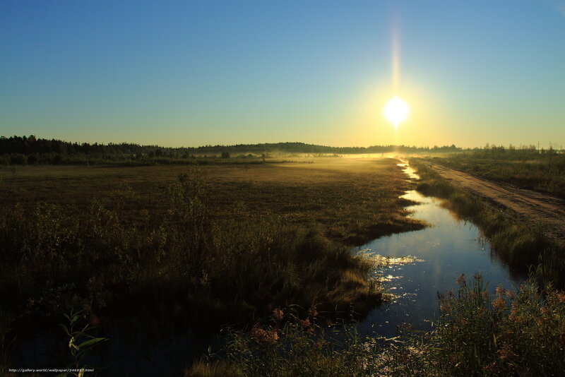 Sunrise over a marshy landscape