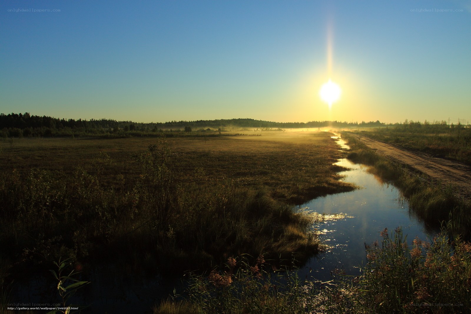 Sunrise over a marshy landscape