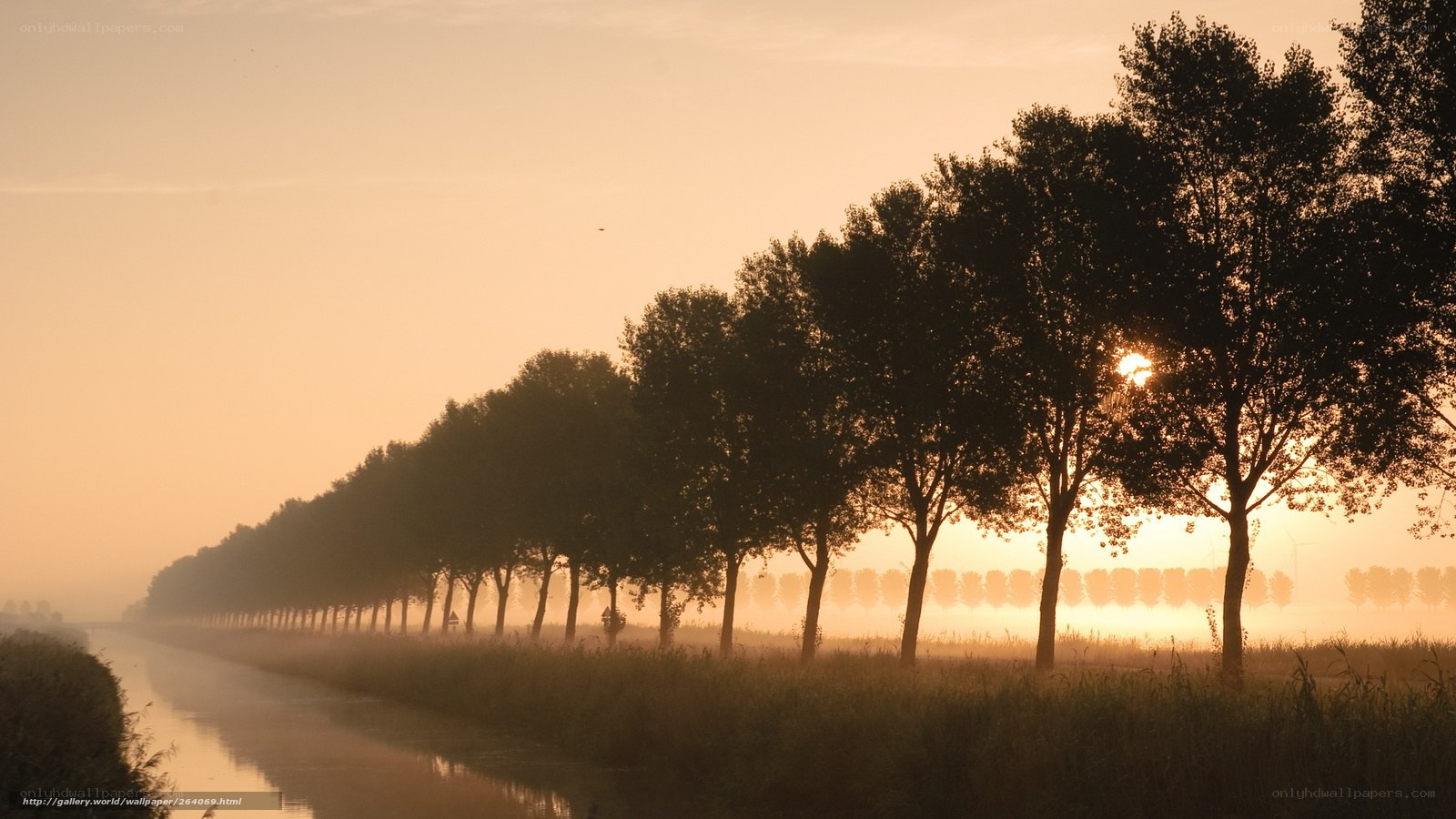 Sunrise over a misty canal
