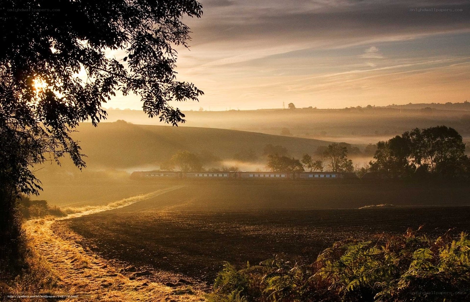 Sunrise over a misty countryside