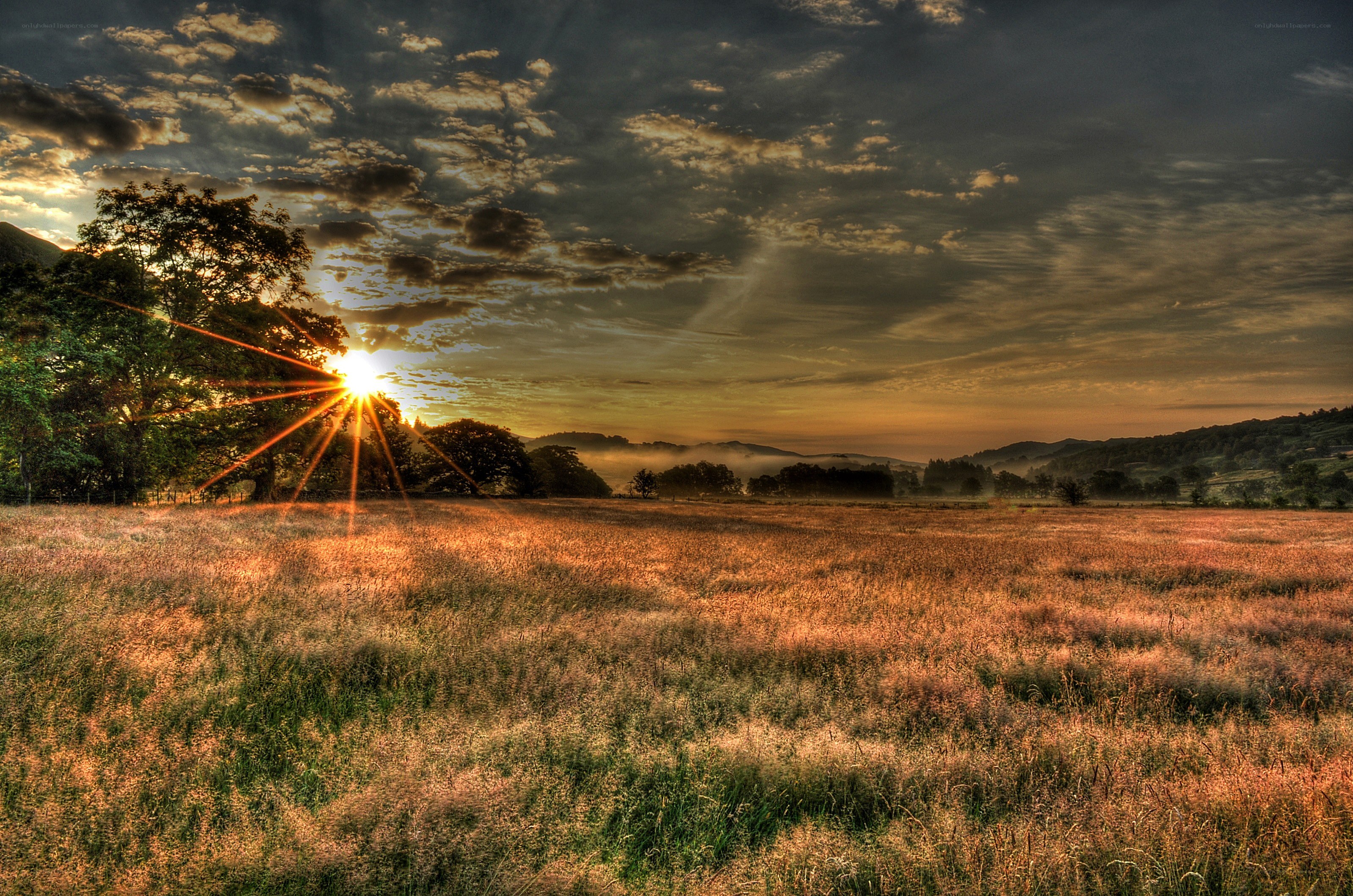 Sunrise over a misty field