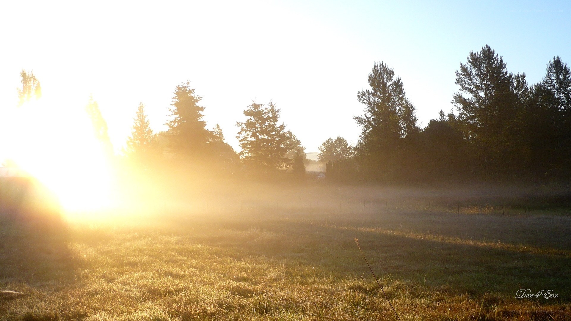 Sunrise over a misty field