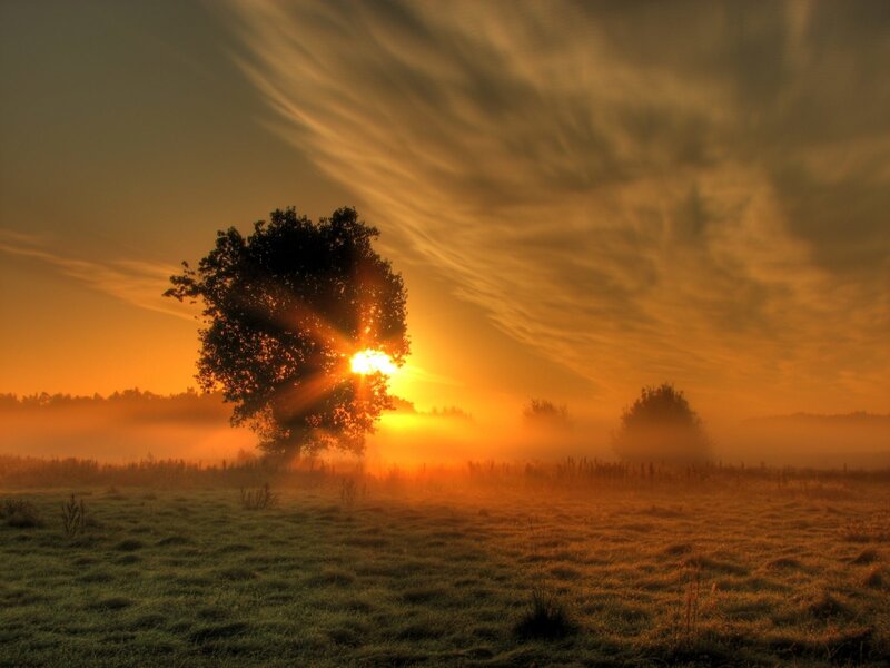 Sunrise over a misty field