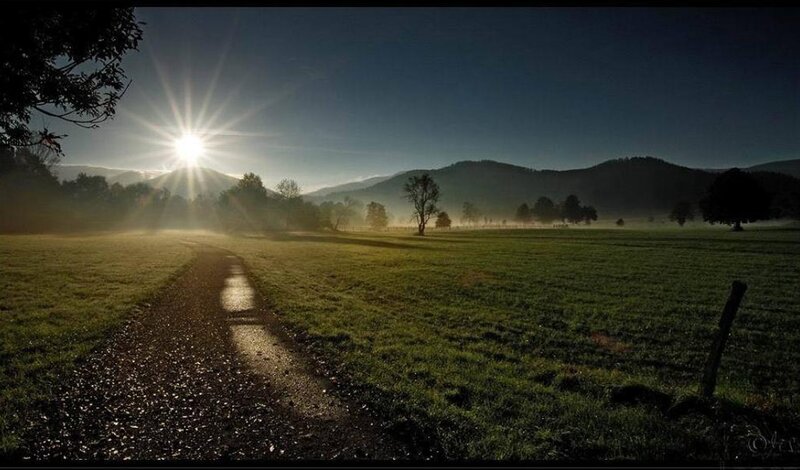 Sunrise over a misty field