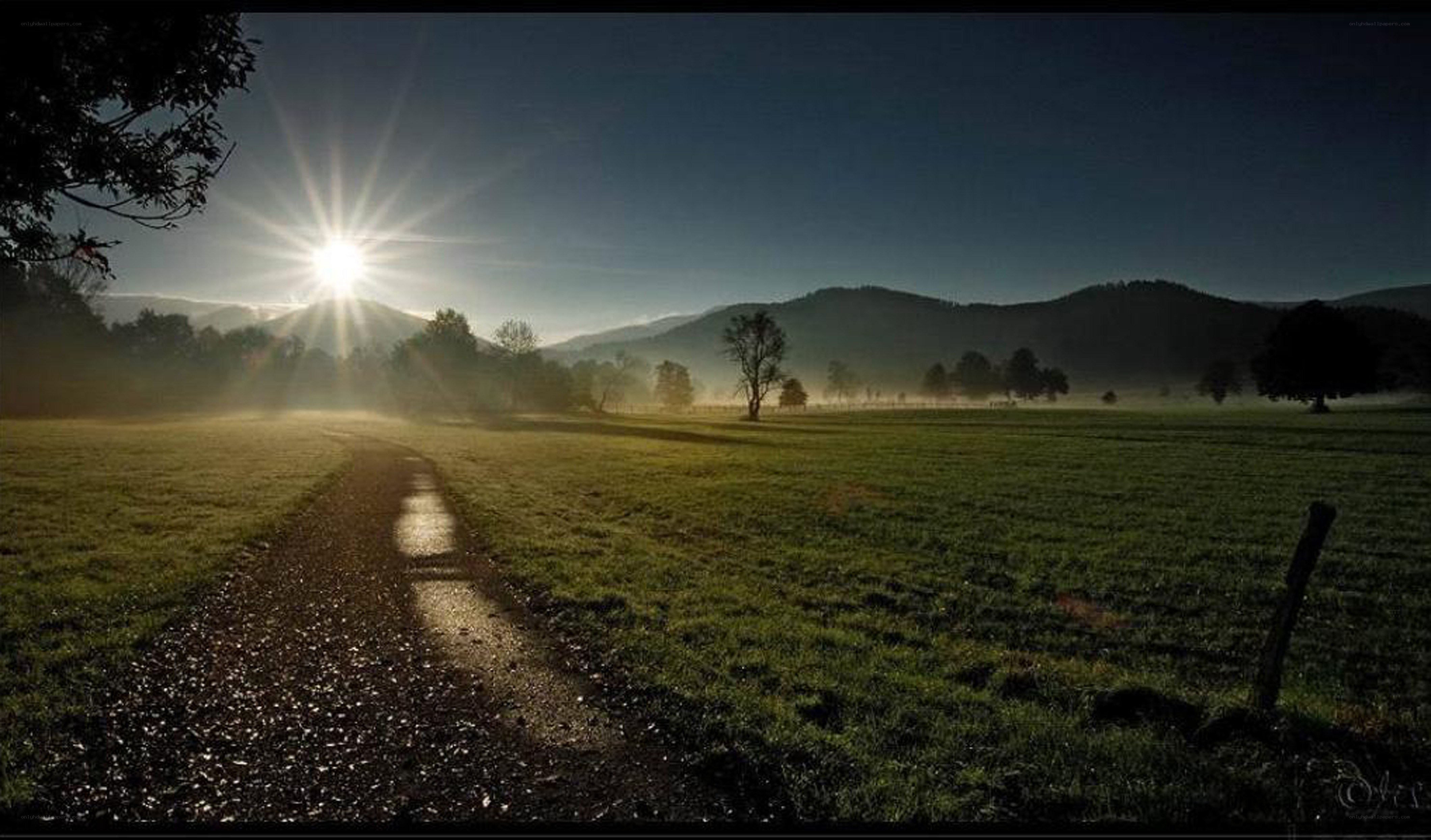 Sunrise over a misty field