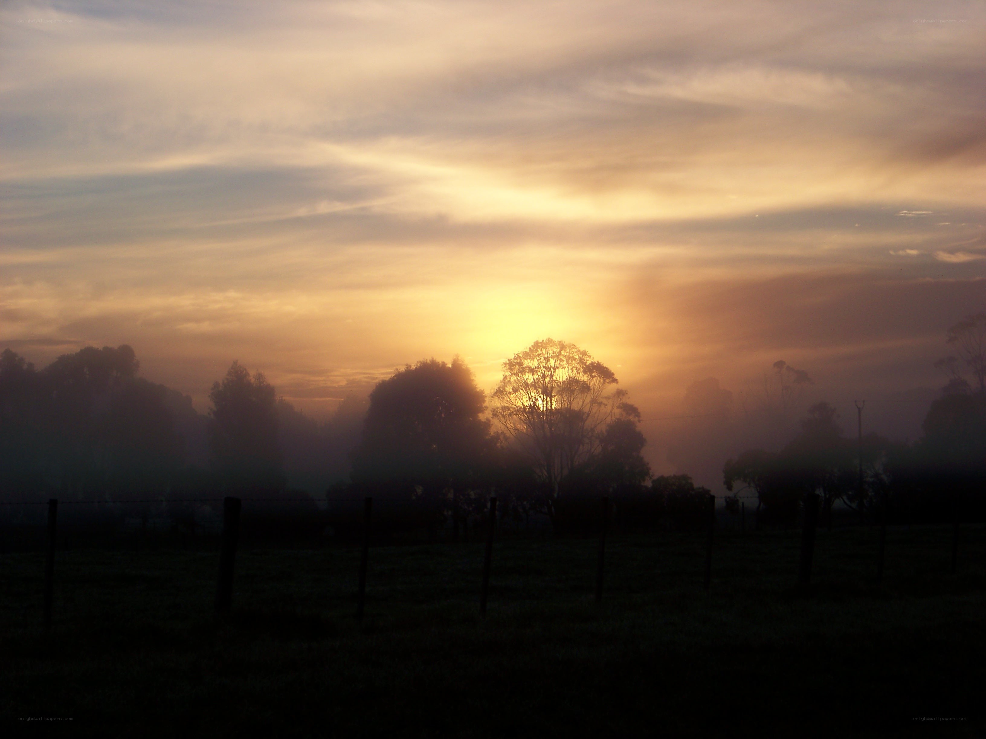 Sunrise over a misty field