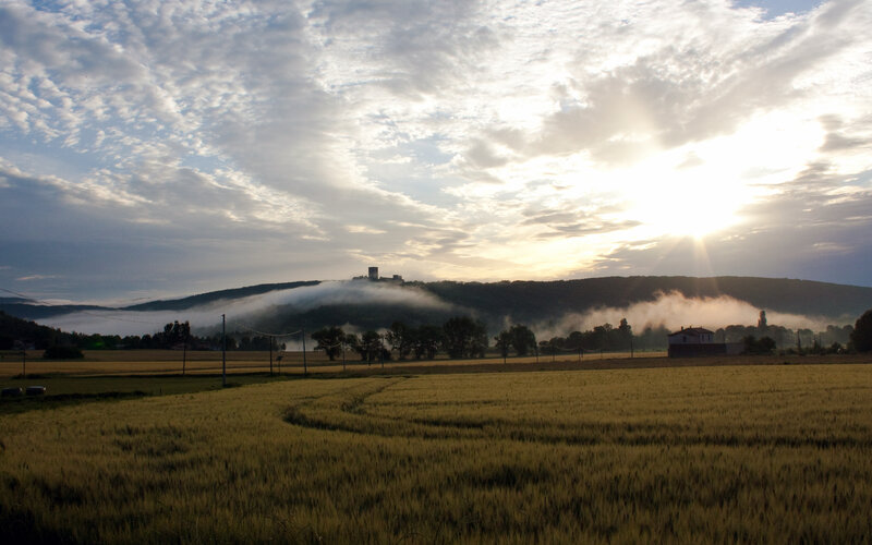 Sunrise over a misty field