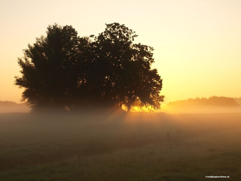 Sunrise over a misty field